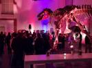 Weihnachtsfeiern 2018  Corporate Events - Eventtechnik und Veranstaltungstechnik artworld:media